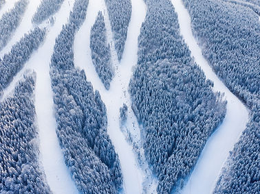 Snowy Ski Slopes