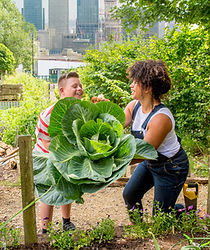 jardin communautaire