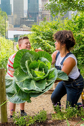 Community Garden
