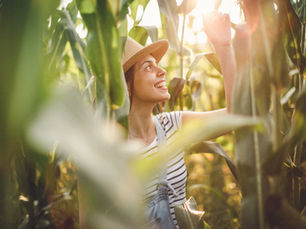 ÁUDIO | ABERTURA DE MERCADO DO MILHO