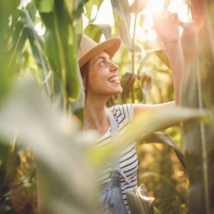 Calming Anxiety with Microgreens