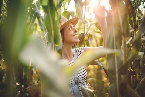 Woman in Corn Field