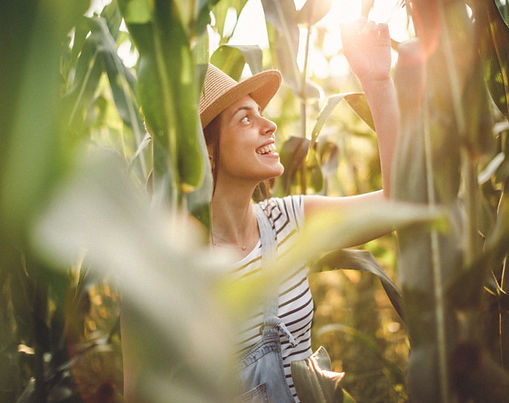 Transforming StreetBond.com: A User-Centered Redesign Driving 623% Lead Growth