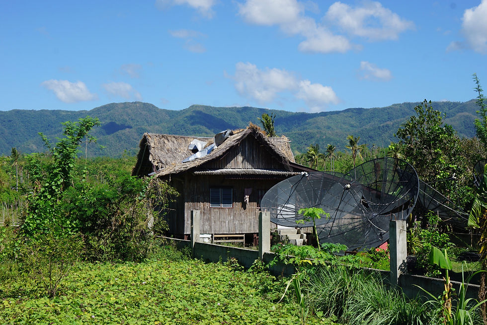Natural Landscape