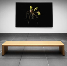 Exhibición de arte