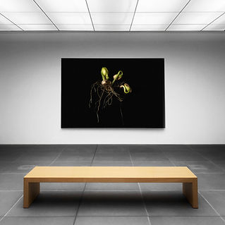Exhibición de arte