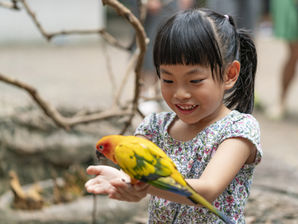 【補助金】2026年度 公益信託サントリー世界愛鳥基金 地域愛鳥活動助成