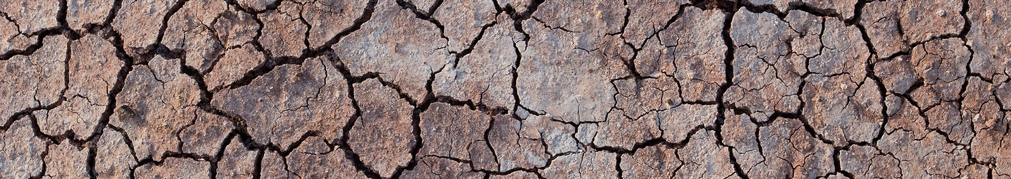 Cracked Mud