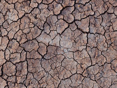 Global society with shovels against drought