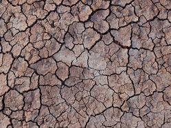 Drought Conditions Intensify in South Dakota and Surrounding Plains States