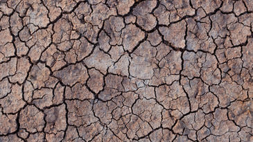 COP28 - a renewed focus on climate and health?