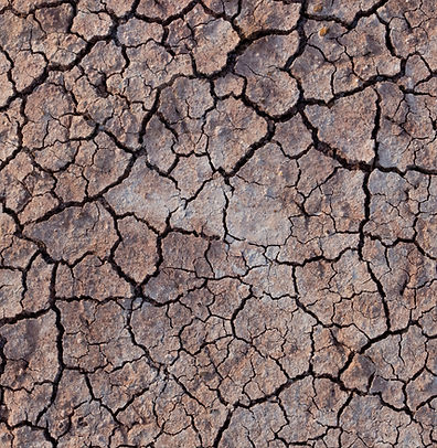 Terreno secco e screpolato