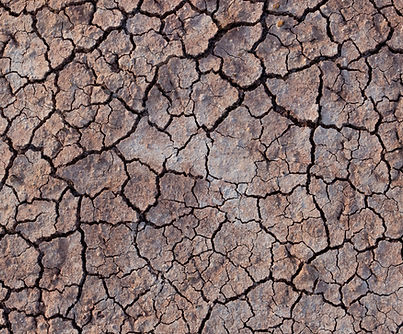 Cracked Mud