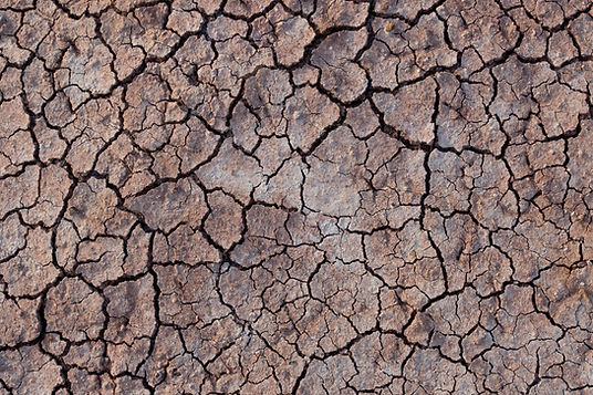Cracked Mud