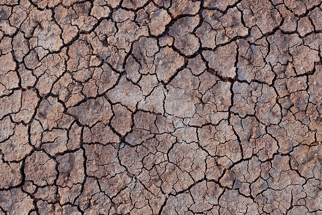 Cracked Mud