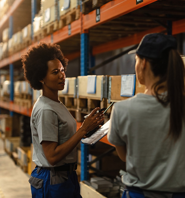 Sorting and Cataloging Inventory