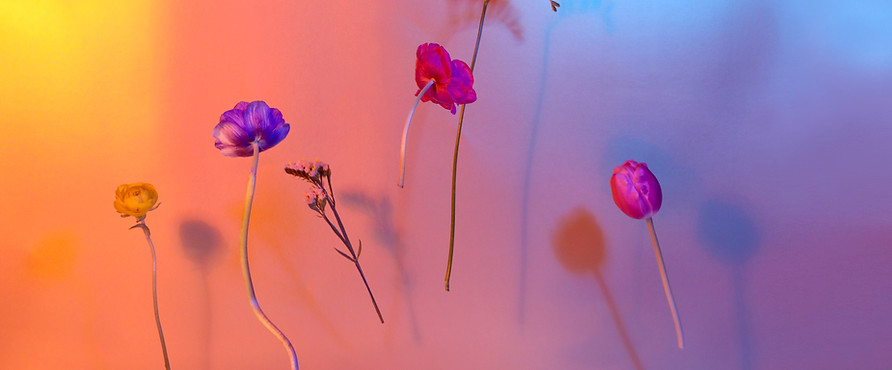 Abstract Floral Composition