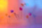 Abstract Floral Composition