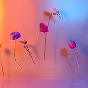 Floating Flowers