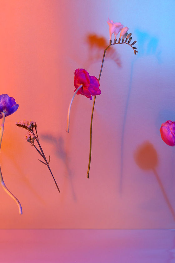 Flowers midair