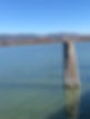 Wooden Posts