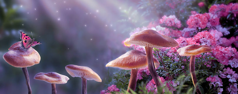 Mushrooms And Butterfly