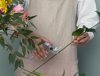 Florist Cutting Flowers