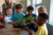 Nature Class
