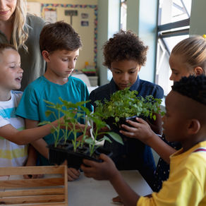 The Back to School Transition- 5 Tips and some helpful tools to transition your child and family back into the school year