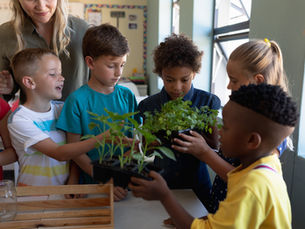 Gardening For Kids: A Montessori Approach