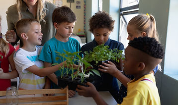 Children Planting Activity