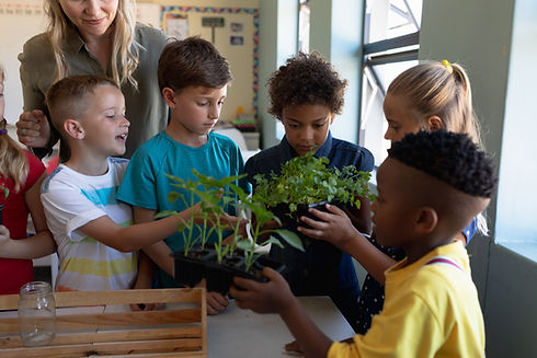 Nature Class