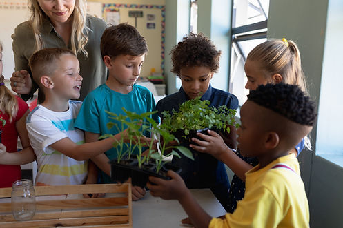 Children Planting Activity