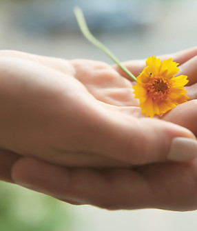 pierre-chatel-innocenti-Lk-nu_hX6ms-unsplash 2.png