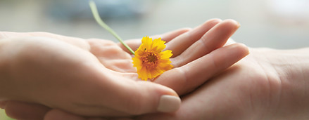 Yellow Flower