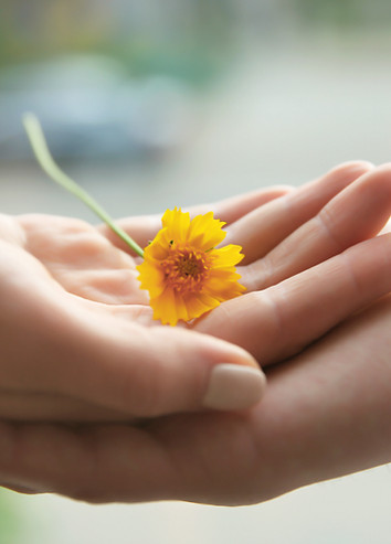 Yellow Flower