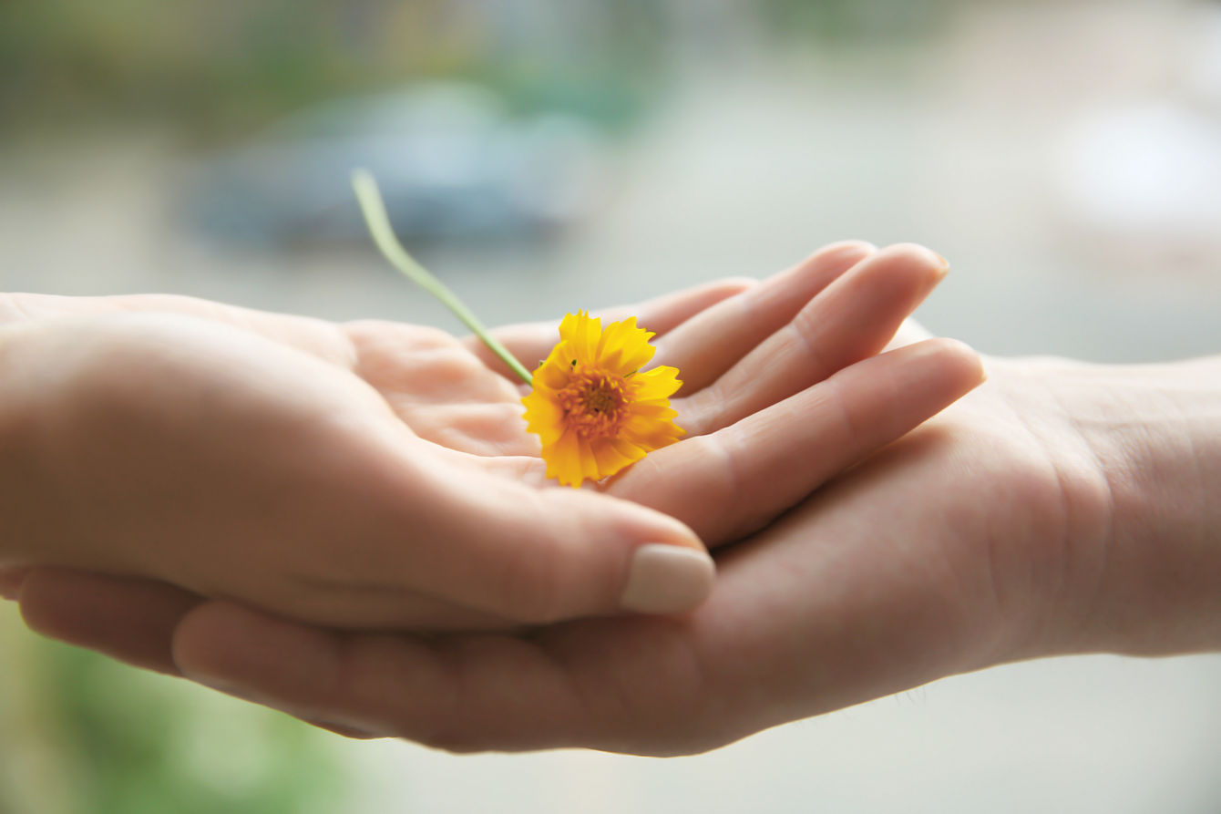 Hands Holding Flower