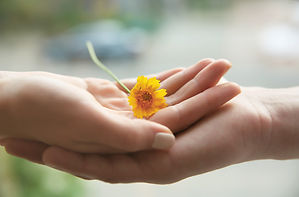 Två händer som håller en blomma – symbol för omtanke, stöd och närvaroa