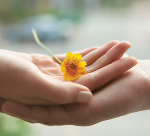 Hands Holding Flower
