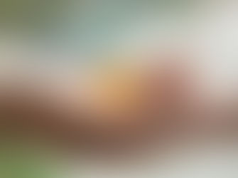 Voir la vie comme un cadeau