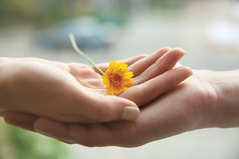 Yellow Flower