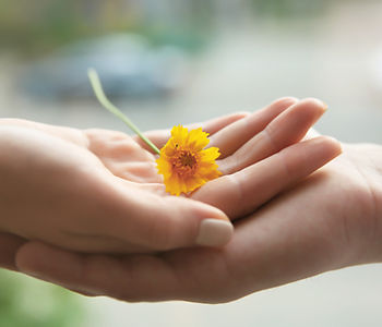 花を持つ手