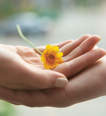 Yellow Flower