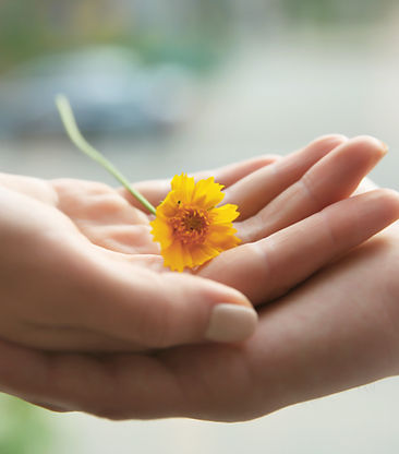 Yellow Flower