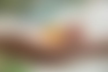 Why Sometimes We All Need a Little Extra Support - And How a Geelong Psychologist or Counsellor Can Help