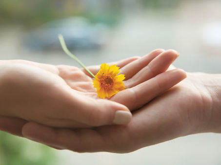 Te lo daría todo - Poema