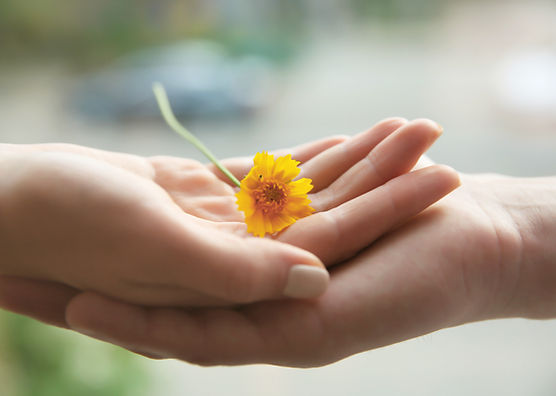 Yellow Flower