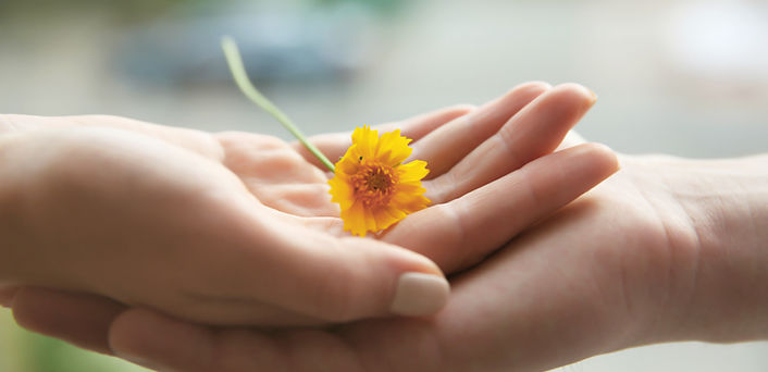 gelbe Blume
