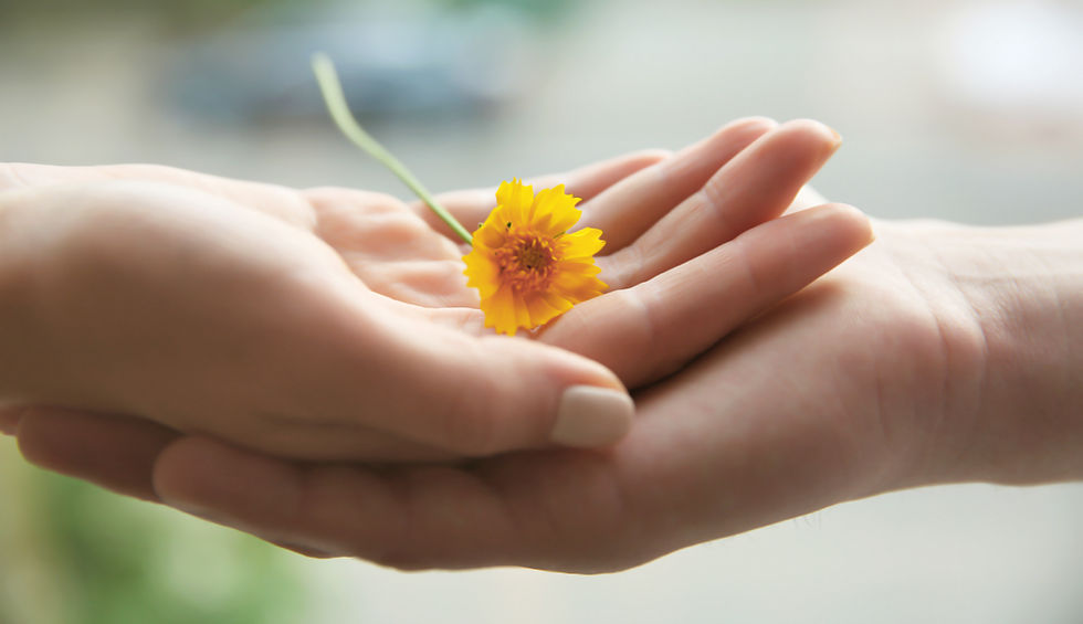Yellow Flower