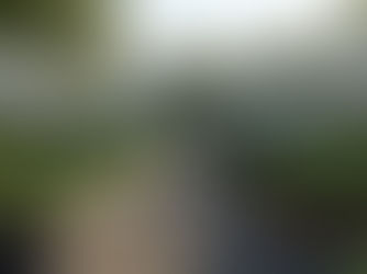 The Middle of the Miracle